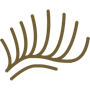 Pestanas