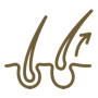 epliação-logo
